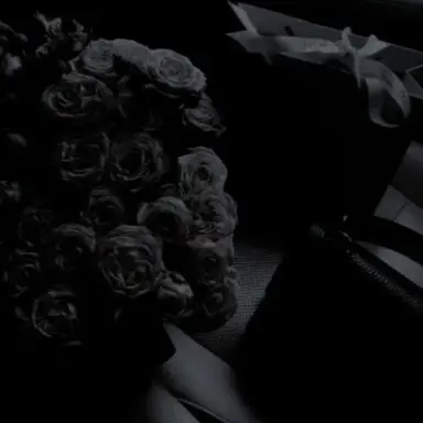 Profile image of 채스터