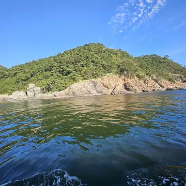 Profile image of 모찌엘