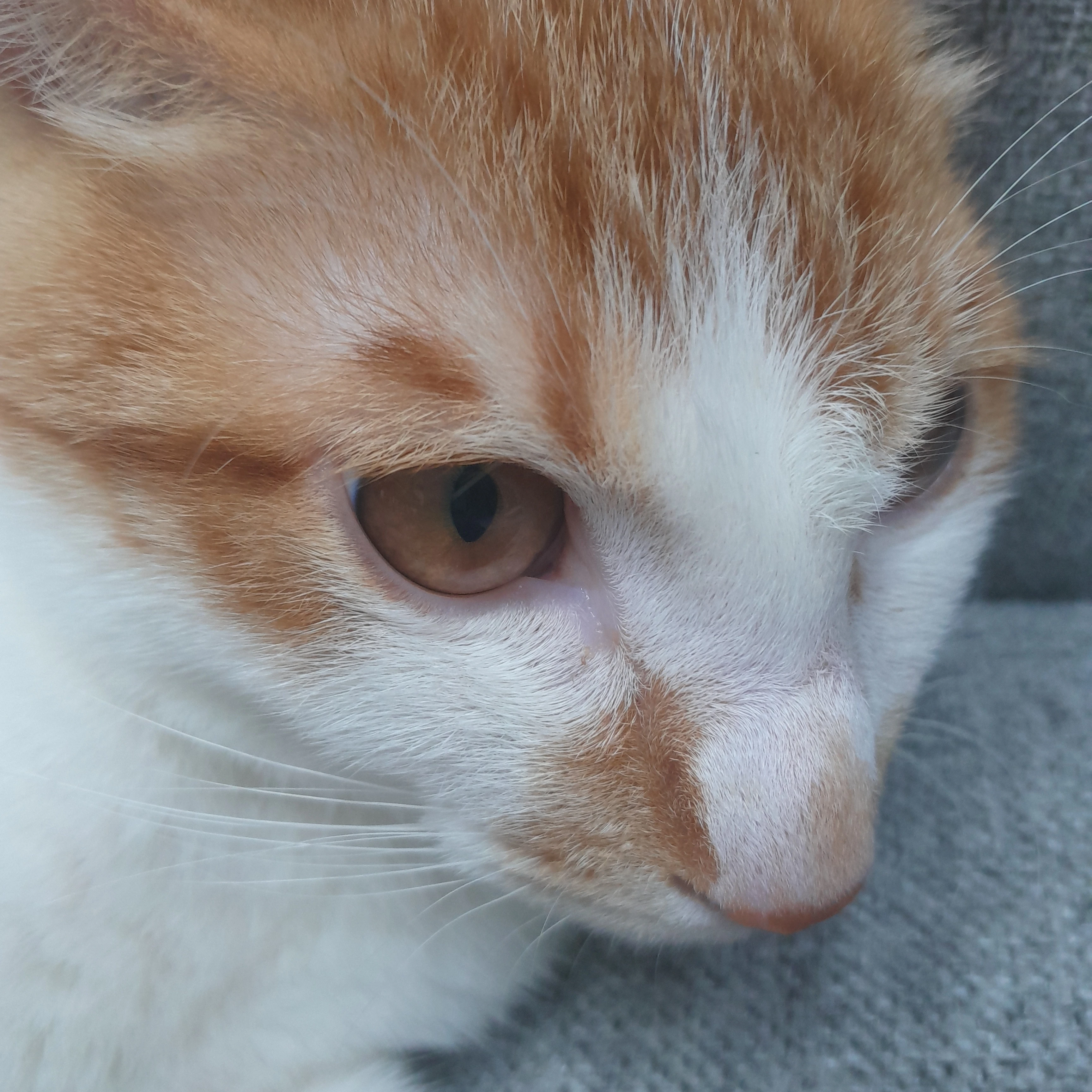 민호