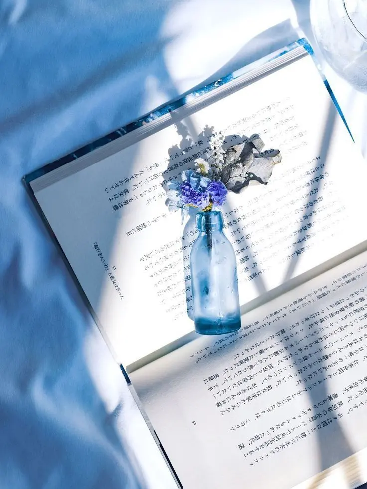 plliessie의 남예준