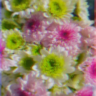 Profile image of 고율학