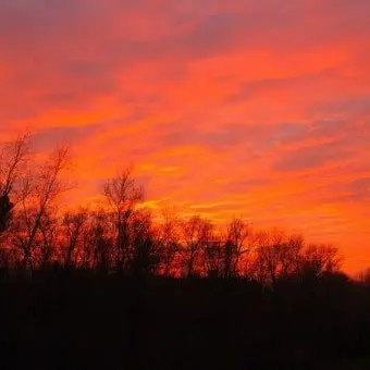 Profile image of 류