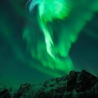 Profile image of 오뉴