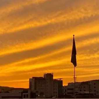 Profile image of 제미니