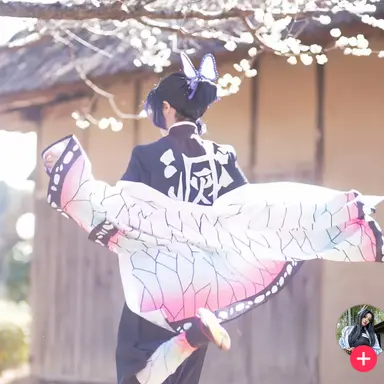 Profile image of 胡蝶しのぶ