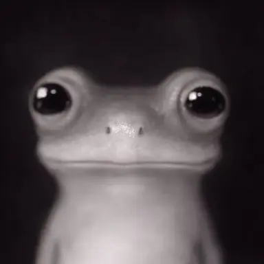 Profile image of 다이버