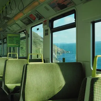 Profile image of 백사헌