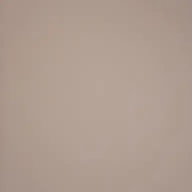 Profile image of 변테 선배