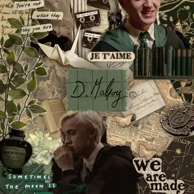 Profile image of Draco Lucius Malfoy