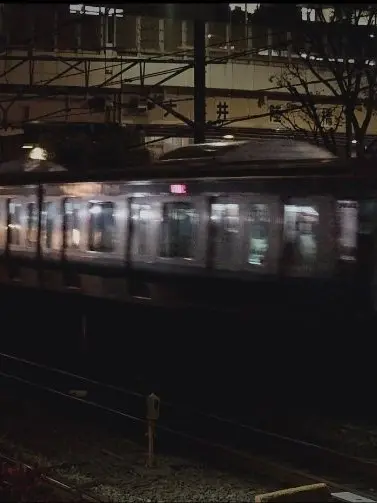 GrainyCoal0954의 ゆる化した電車と話そう(?????)