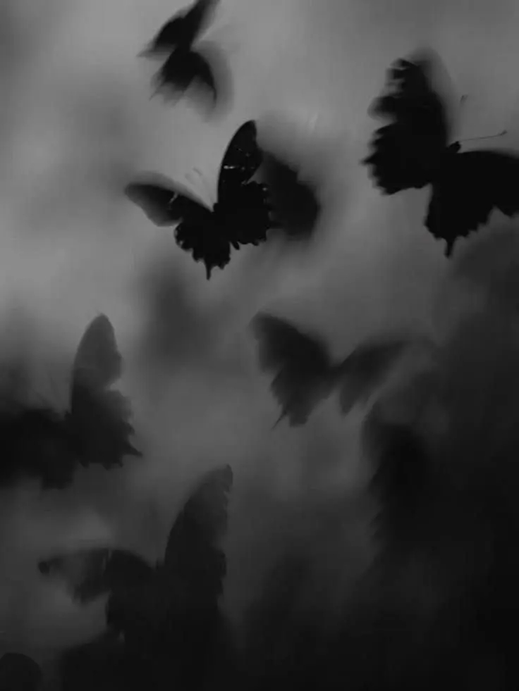 oes0717의 Taming a Stray Wolf..🖤🐺