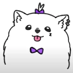 CHYUA의 포이