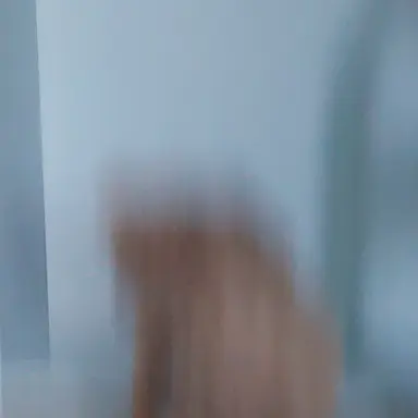 Profile image of 성기훈