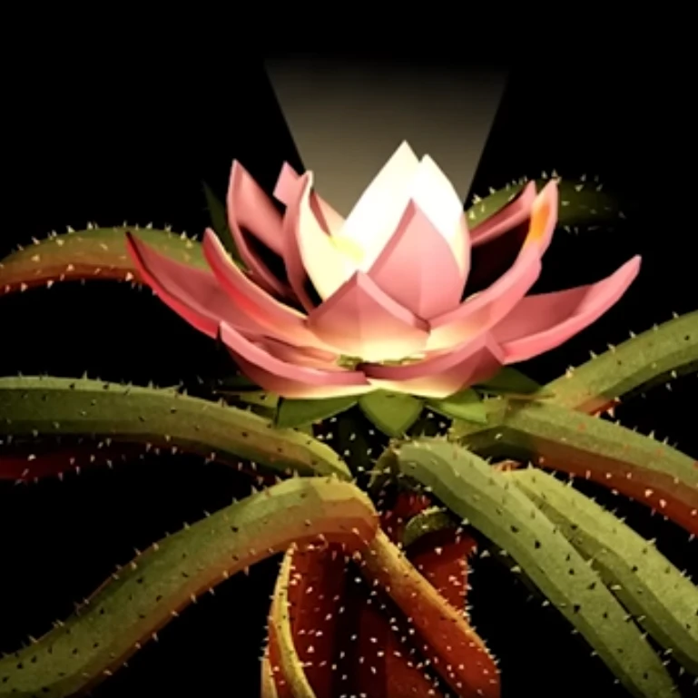 세계 연꽃