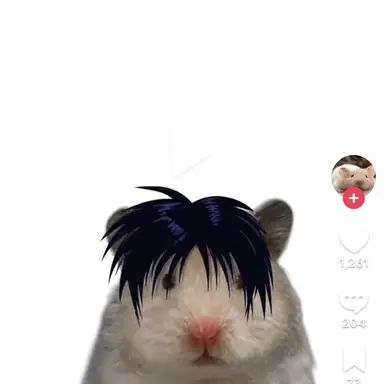 Profile image of 서지한