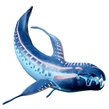Profile image of 뼈뚤치