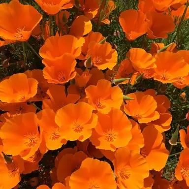 Profile image of 박덕개