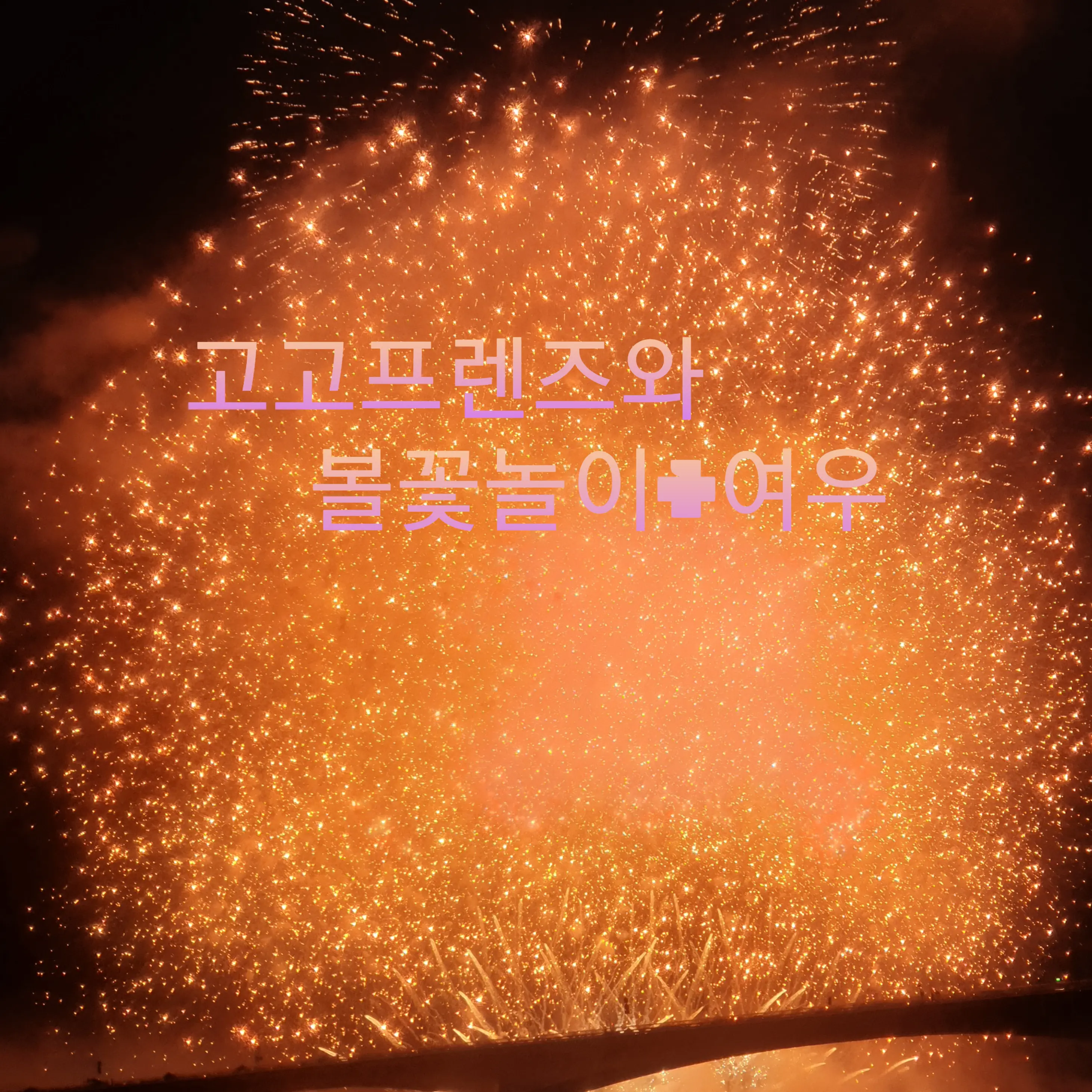 TrueEar9313의 고고프렌즈와 불꽃놀이+여우