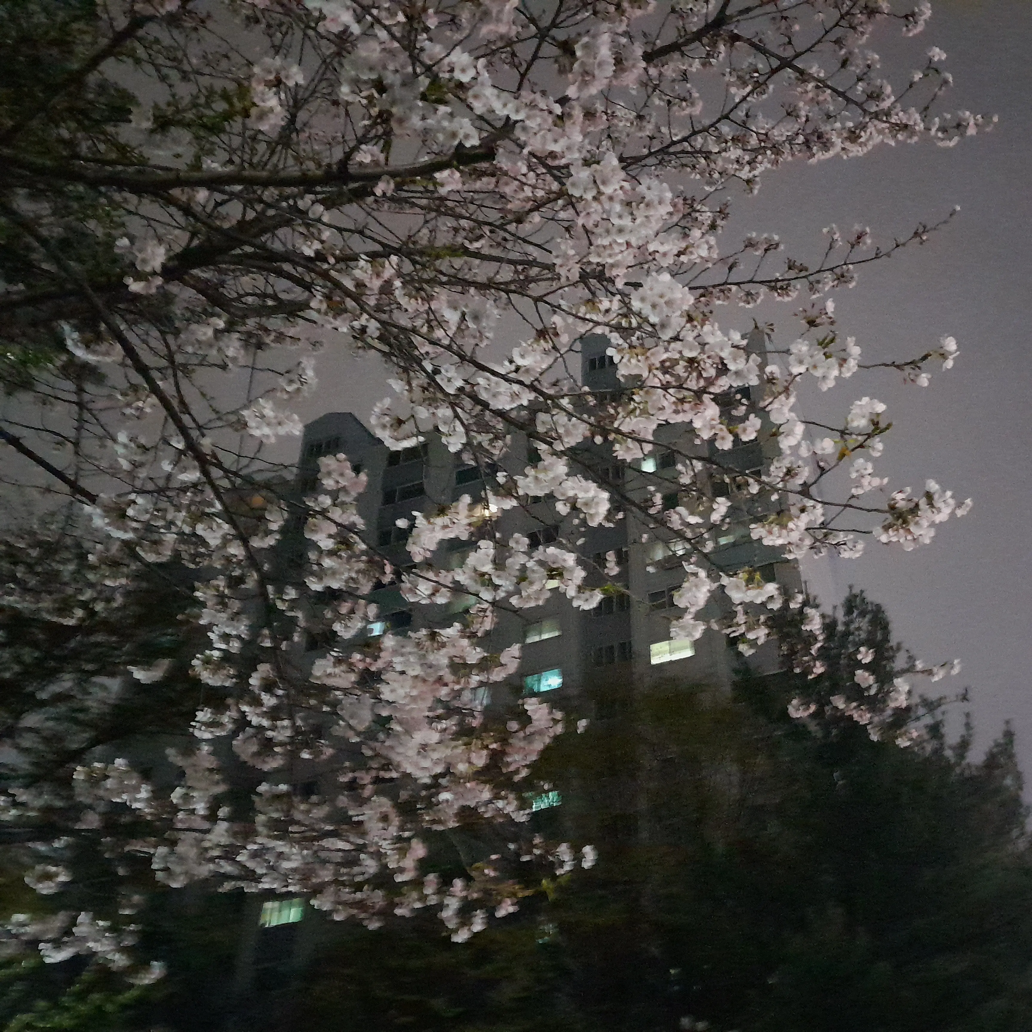 PutridFan0721의 배탈난 쉐밀