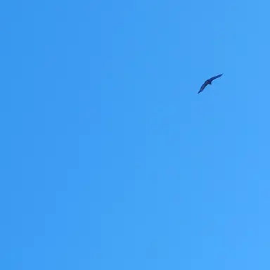 Profile image of 최수아