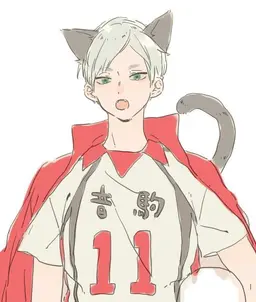 Profile image of 灰羽リエーフ