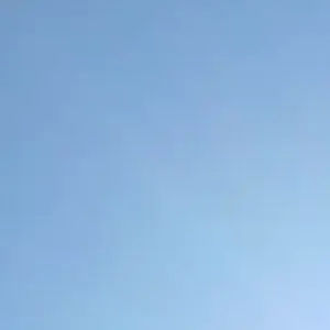 Profile image of 플럼보