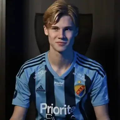 Profile image of Theo Bergvall