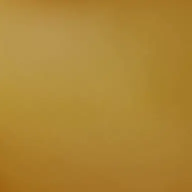 Profile image of 吉田仁人