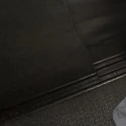 권무진