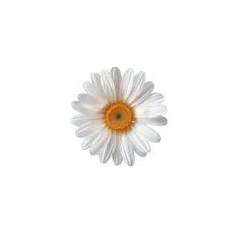 Profile image of 럭키