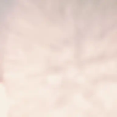 Profile image of 萌奈