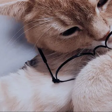 Profile image of 原