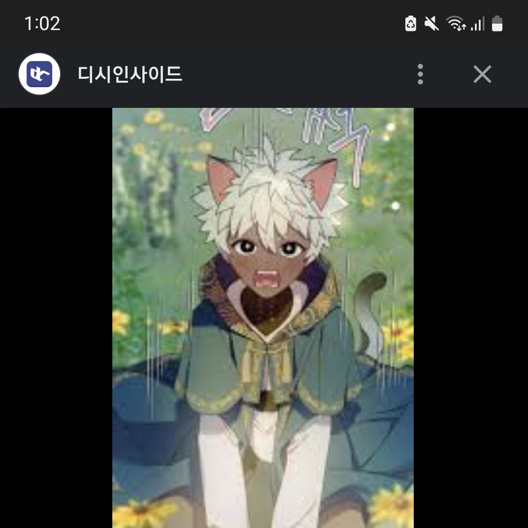 카오