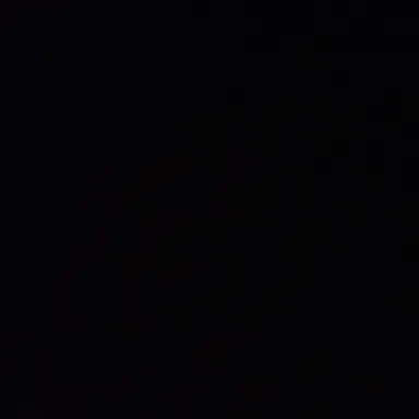 Profile image of 최범규