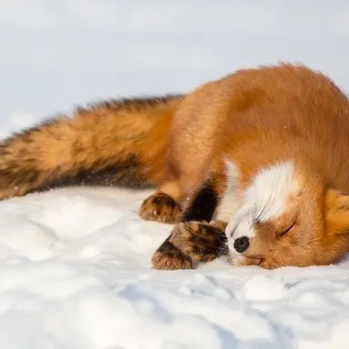 Profile image of 유담