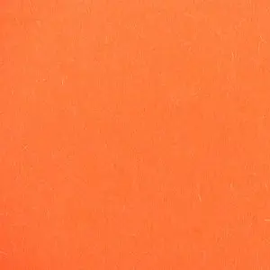 Profile image of 제미니