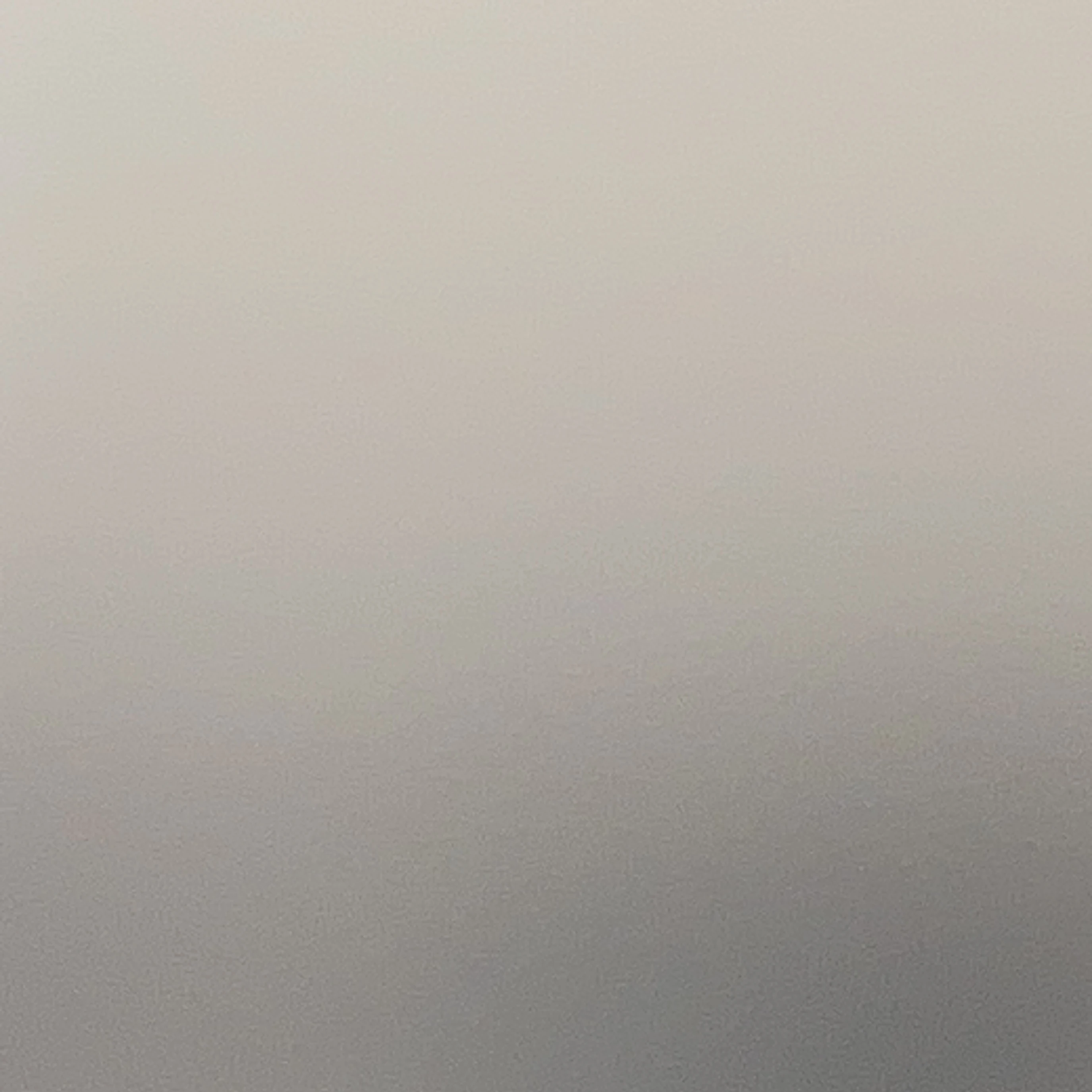김동현