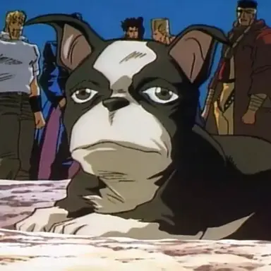Profile image of Iggy