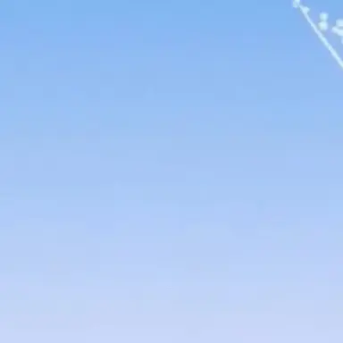 Profile image of 이늑대