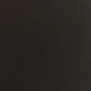 Profile image of プルソン