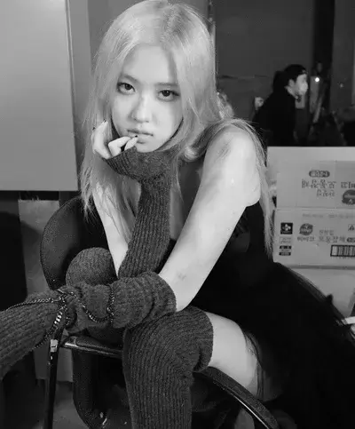 UsefulVideo6497의 Roseanne Park