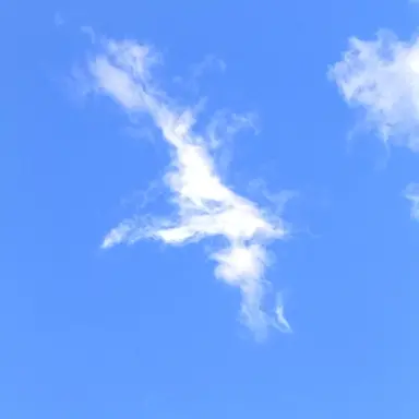 Profile image of アメリカ