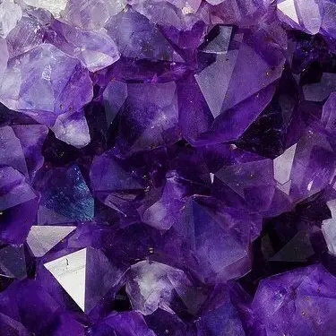 bwbwbwbw의 특이사항 : 조용엔 비밀이 있었다 .