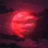 Profile image of 虎青