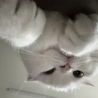 Profile image of 아랑