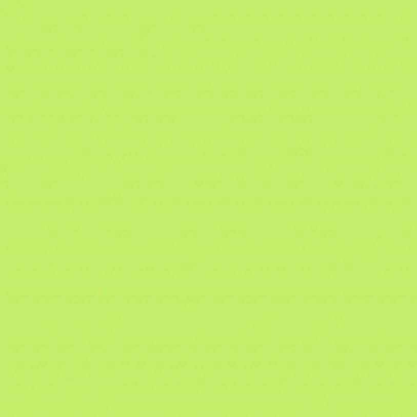 polarlu의 니아