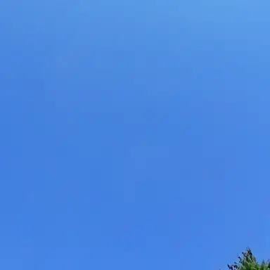 Profile image of 강민재