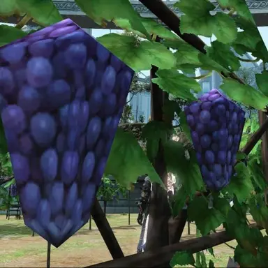 Profile image of 각진 포도