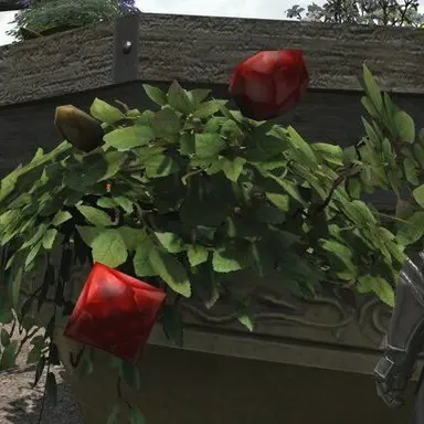 Profile image of 각진 장미