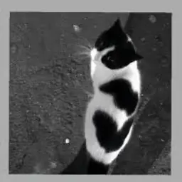 Profile image of ミナ